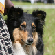 bild7