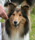 bild8