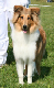 bild1