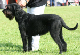 bild10