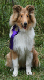 bild11