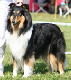 bild5
