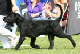 bild6