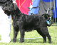 bild8