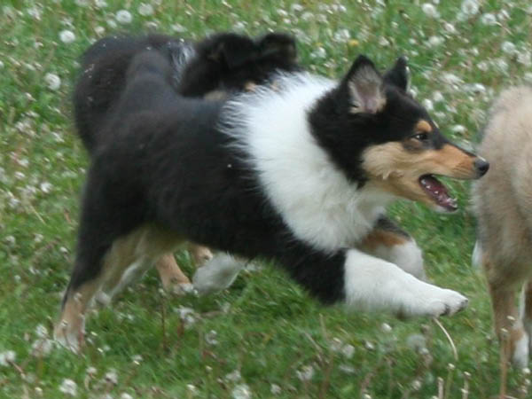 2attack