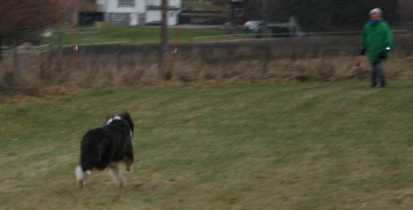 brasse5