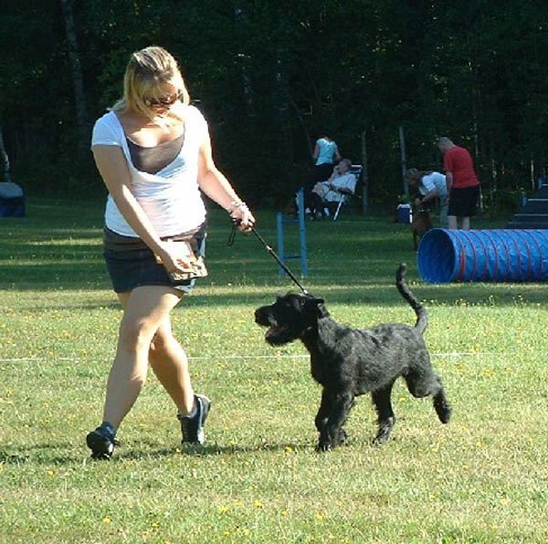 oorniespringer